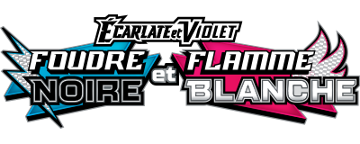 Foudre Noire et Flamme Blanche